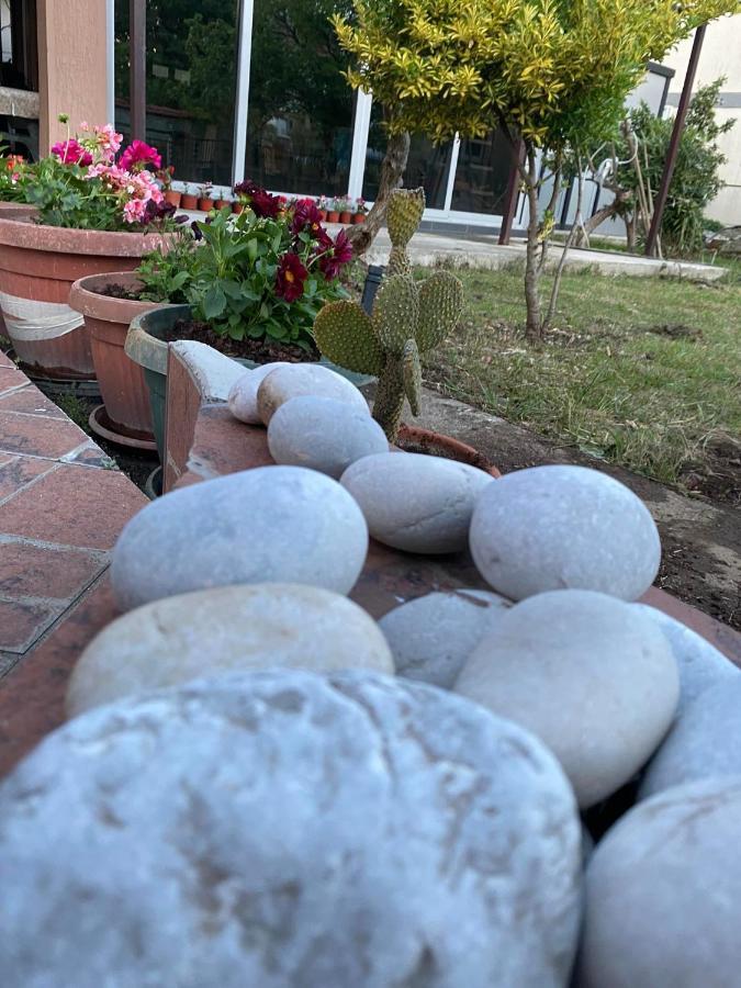 Appartamento Curani House Ulcinj Esterno foto